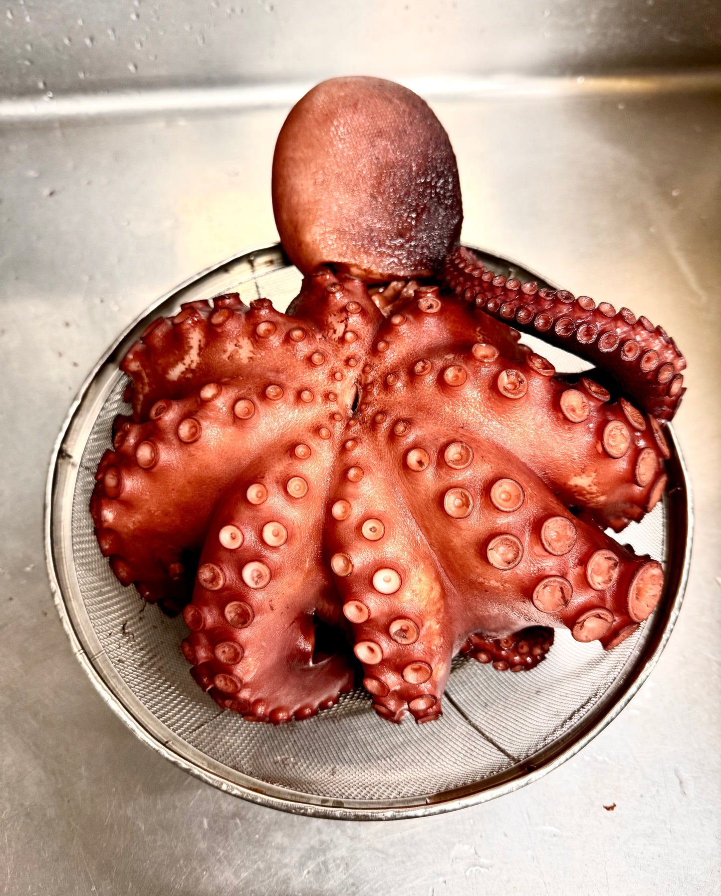 02031津軽海峡冬の真タコ(190gUP)(真空冷凍)