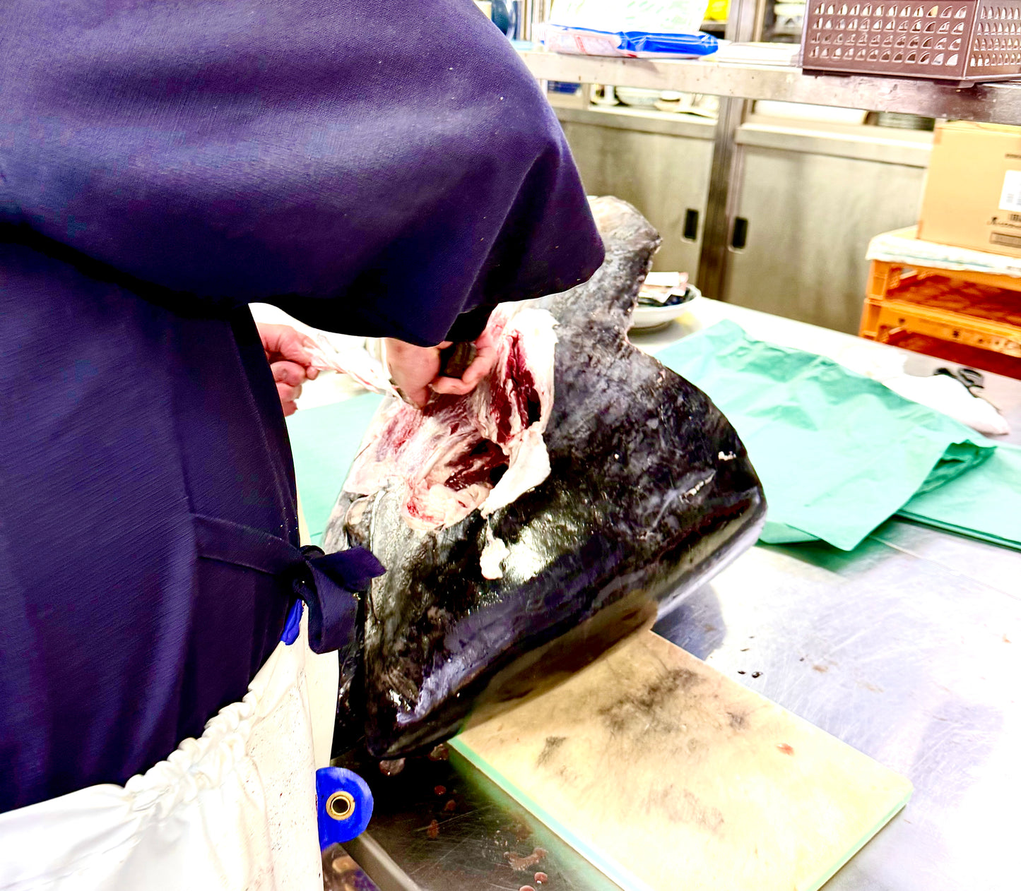 02034大間クロマグロの希少ホホ肉(430gUP)(真空冷凍)