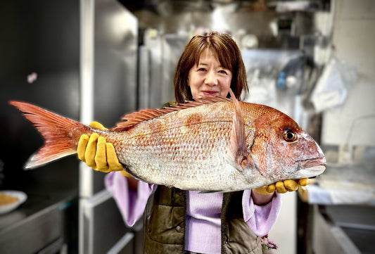 津軽海峡の真鯛
