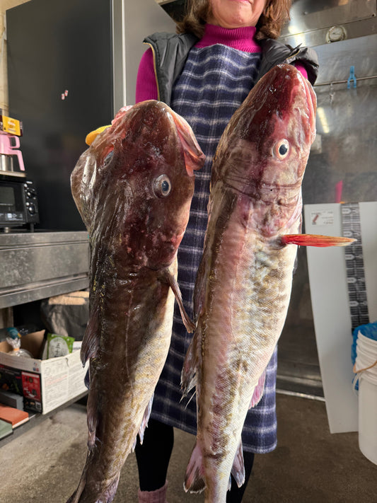 まだらシーズン到来‼