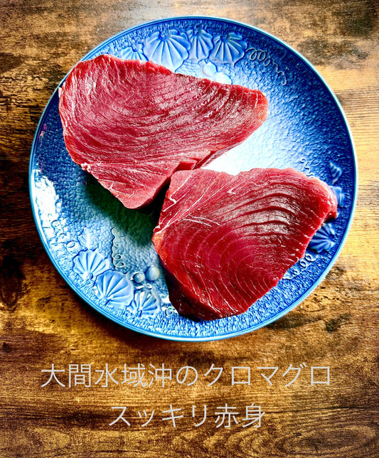 津軽海峡クロマグロ特売中‼