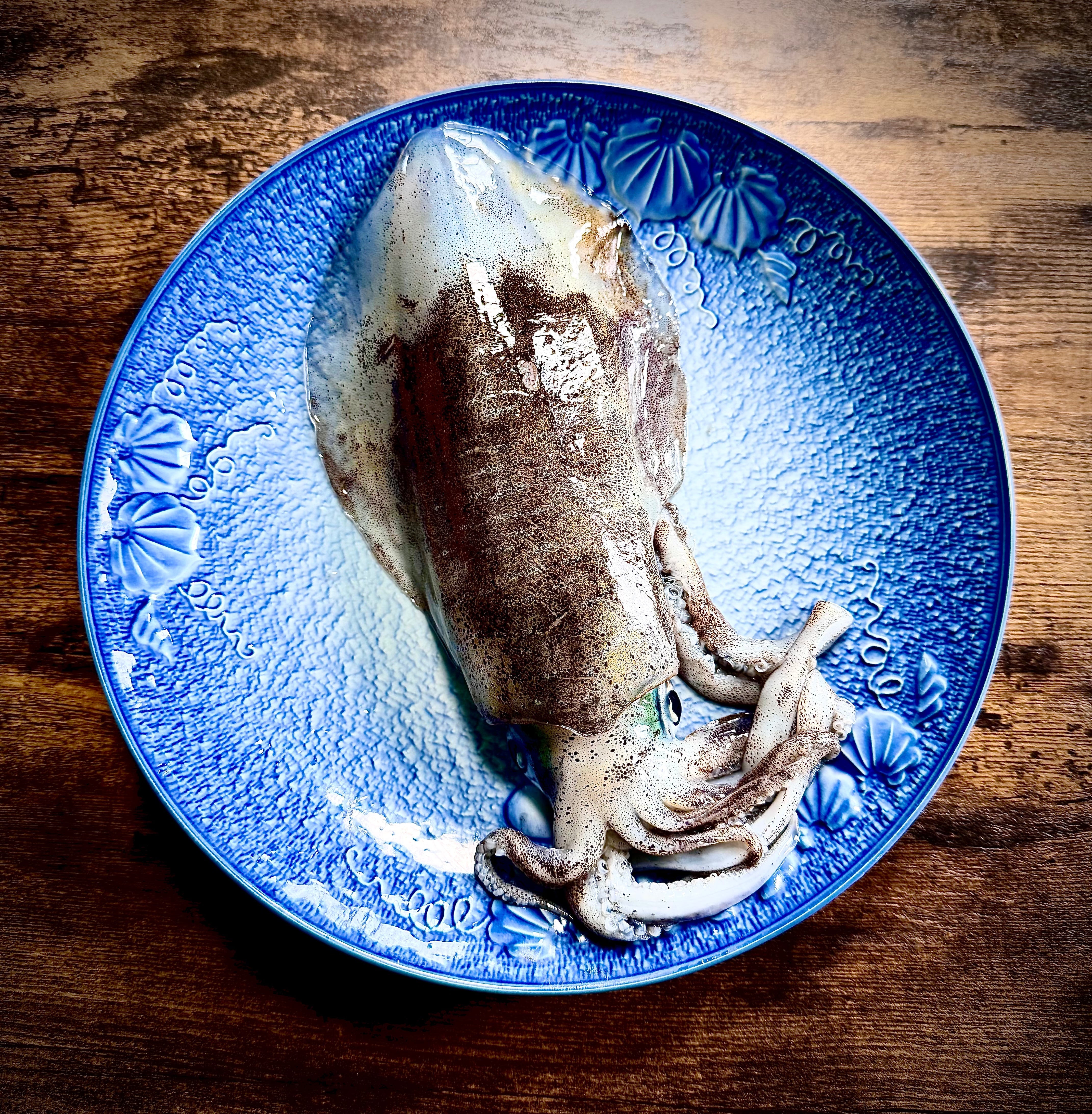 クロマグロの大好物‼アオリイカ‼