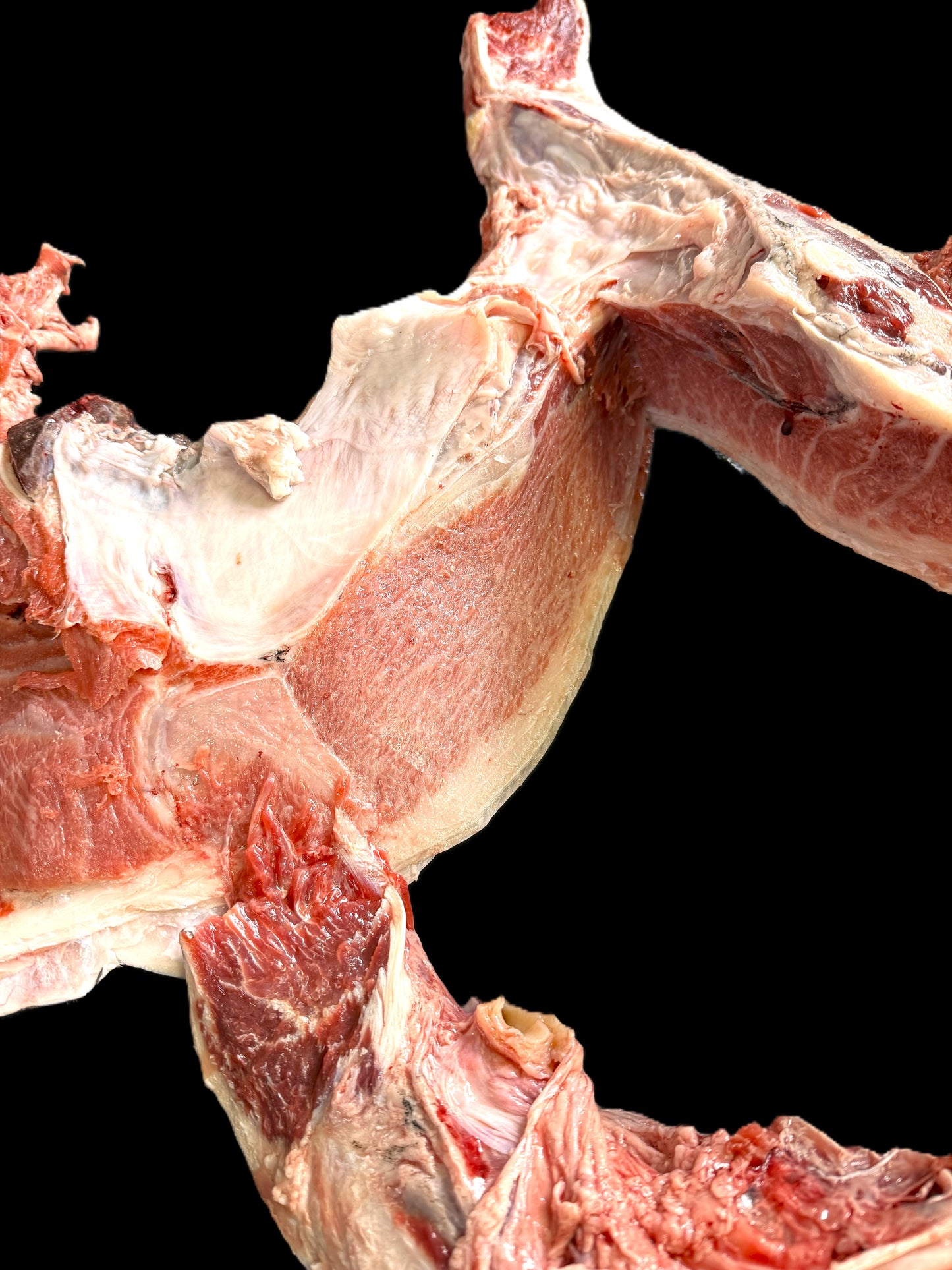 02036大間クロマグロカマ（1.5ｋｇUP）（真空冷凍）