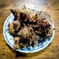 02006朝獲れ蒸サザエ　お試しサイズ（100ｇUP）（真空冷凍）