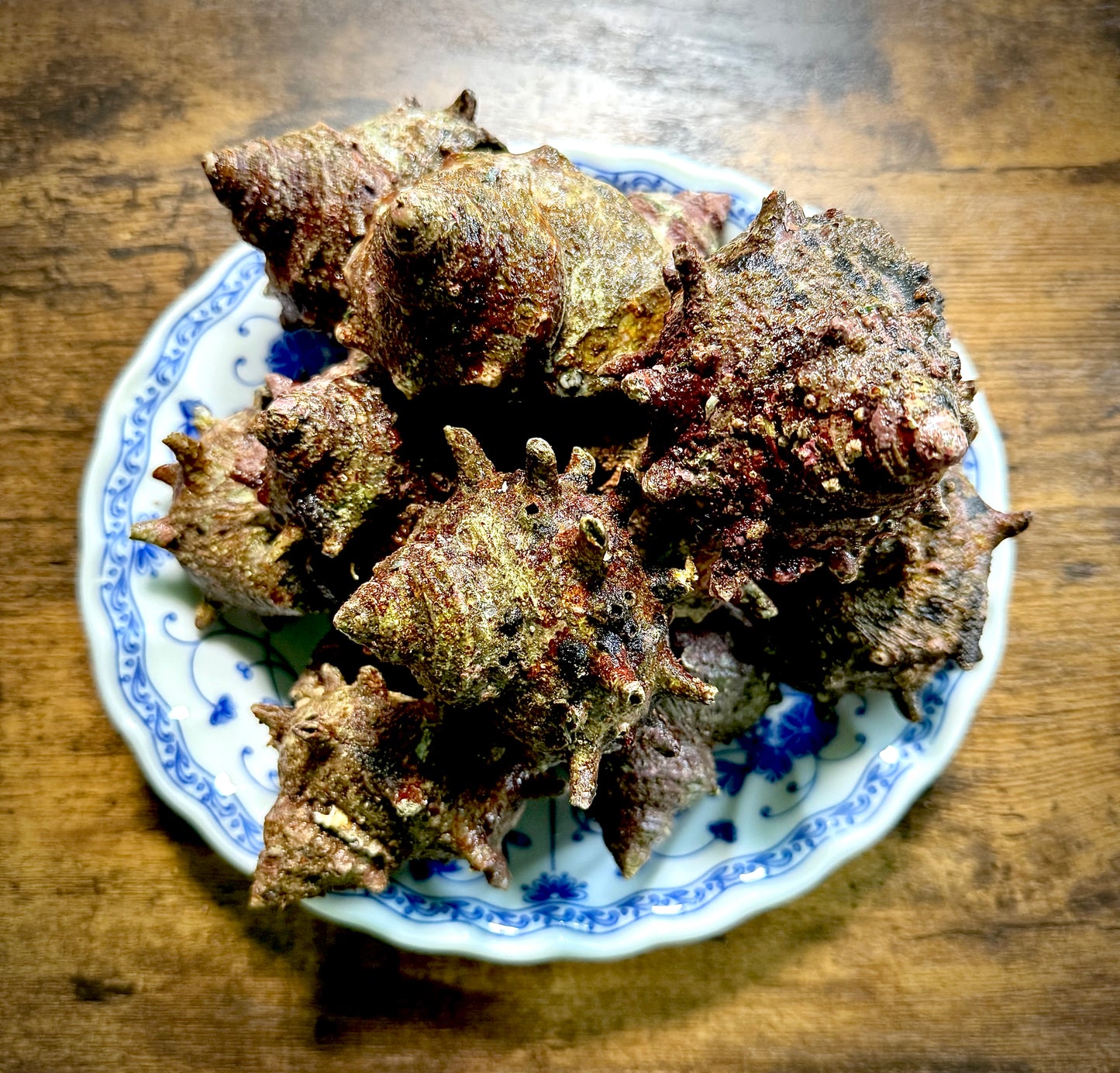 02006朝獲れ蒸サザエ　お試しサイズ（100ｇUP）（真空冷凍）