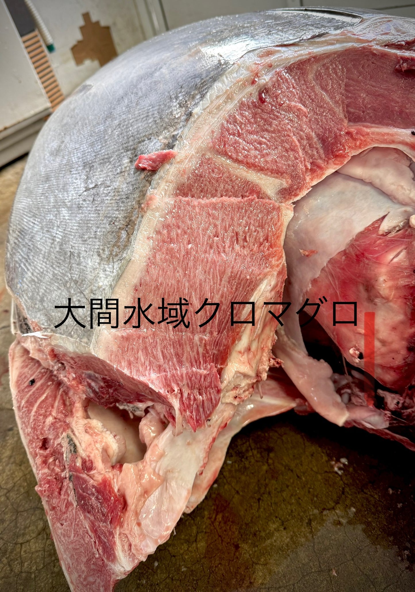 02001大間沖水域冬のクロマグロ大トロ（700ｇUP）（冷凍真空）