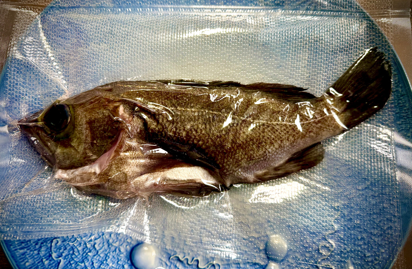 02039黒メバル（150ｇUP）（真空冷凍）