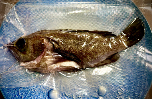 02039黒メバル（150ｇUP）（真空冷凍）