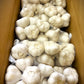 10003青森産にんにく(５００ｇ）(準備中）